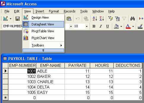 how to use microsoft office access for payroll